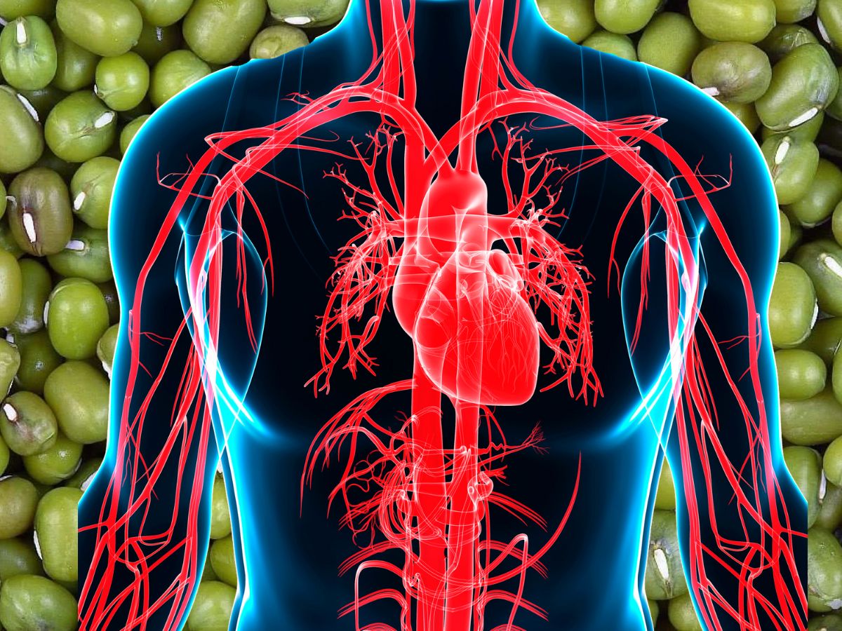 मूगडाळीत अँटीऑक्सिडंट्स भरपूर असतात जे हृदयासाठी फायद्याचे ठरतात. मूगडाळ खाल्ल्यामुळे उच्च रक्तदाब कमी व्हायला मदत होते. मूगडाळीमुळे हृदयाचं आरोग्य सुधारातं.