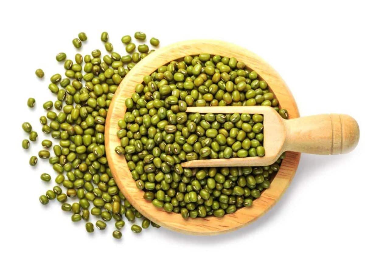 विविध भाज्या आणि मसाल्यांमध्ये मूगडाळ मिसळून विविध खाद्यपदार्थ तयार केले जाऊ शकतात. जे हिवाळ्यासाठी फायद्याचे ठरतात.