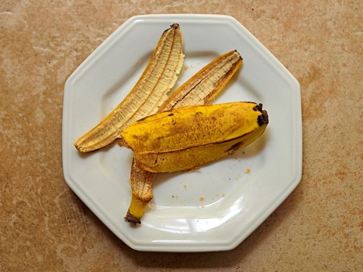 Benefits of Peels: ‘या’ कारणांसाठी महत्त्वाच्या आहेत फळं आणि भाज्यांच्या साली, फेकून देऊन होईल नुकसान 