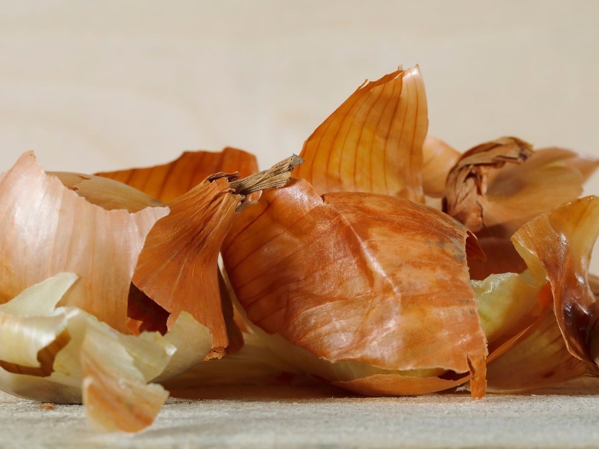 Benefits of Peels: ‘या’ कारणांसाठी महत्त्वाच्या आहेत फळं आणि भाज्यांच्या साली, फेकून देऊन होईल नुकसान 