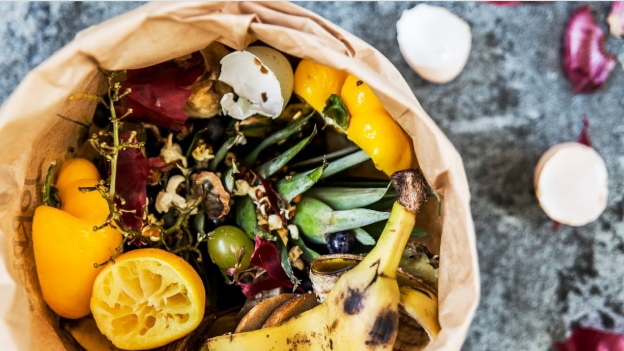 Benefits of Vegetable Peels: अरेरे! तुम्ही फळं आणि भाज्यांच्या साली फेकून देता ? आजच थांबवा नाहीतर मिळणार नाहीत ‘हे’ फायदे