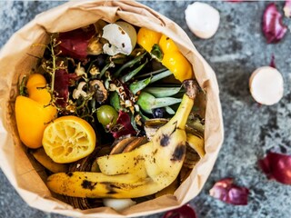 प्रतिकात्मक फोटो : या’ कारणांसाठी महत्त्वाच्या आहेत फळं आणि भाज्यांच्या साली