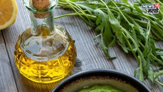 प्रतिकात्मक फोटो : तारामिराची पानं आणि तेल 