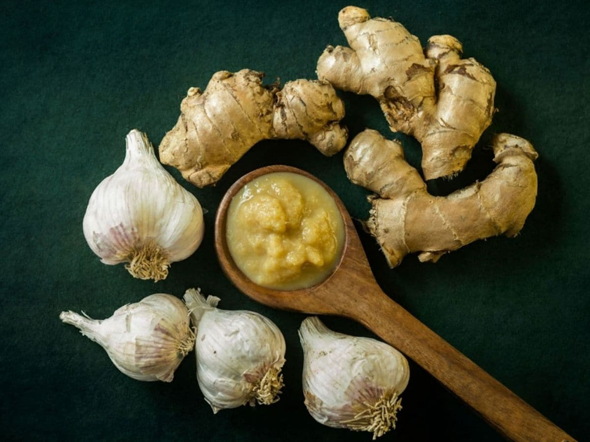 Best Food for Winter: हिवाळ्यात फिट राहायचं आहे मग खा ‘हे’ पदार्थ