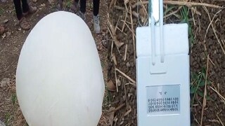 Buldhana news Buldhana news