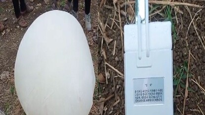 Buldhana news Buldhana news