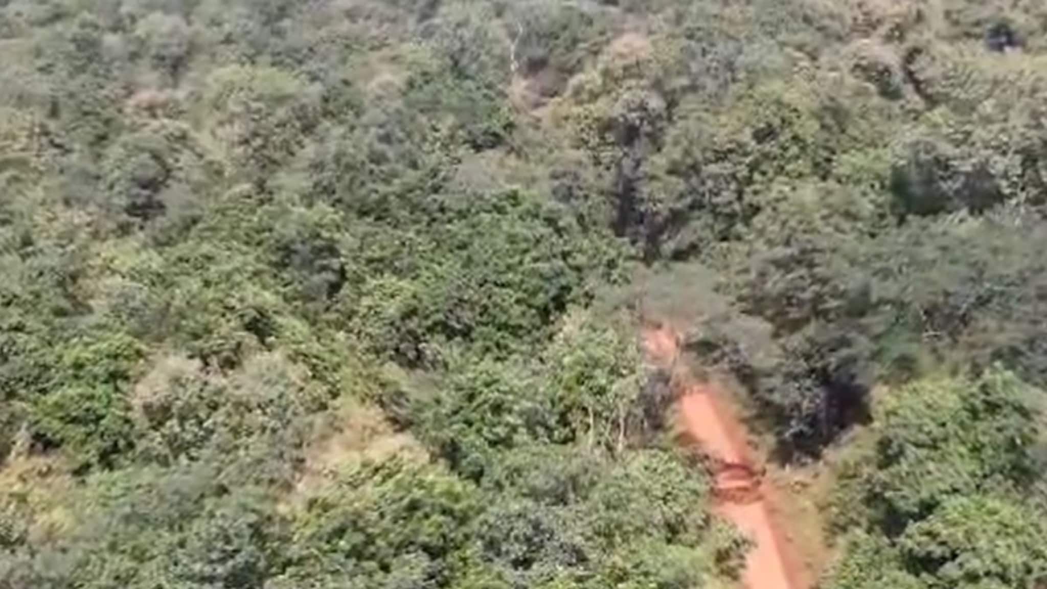 चंद्रपुरात झपाट्याने कमी  होतय घनदाट वनक्षेत्र, सर्वेक्षणातून धक्कादायक आकडेवारी समोर