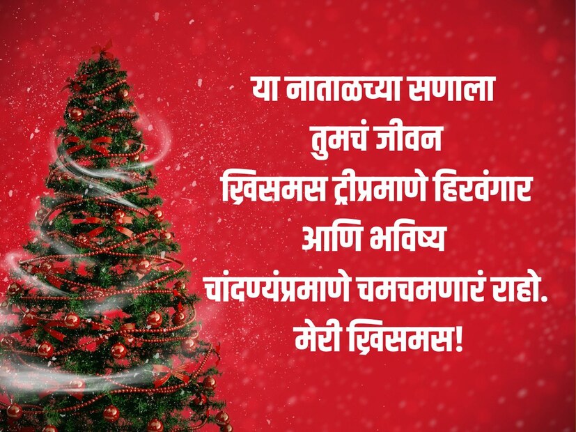 या नाताळच्या सणाला तुमचं जीवन ख्रिसमस ट्रीप्रमाणे, हिरवंगार आणि भविष्य चांदण्यंप्रमाणे चमचमणारं राहो. मेरी ख्रिसमस!