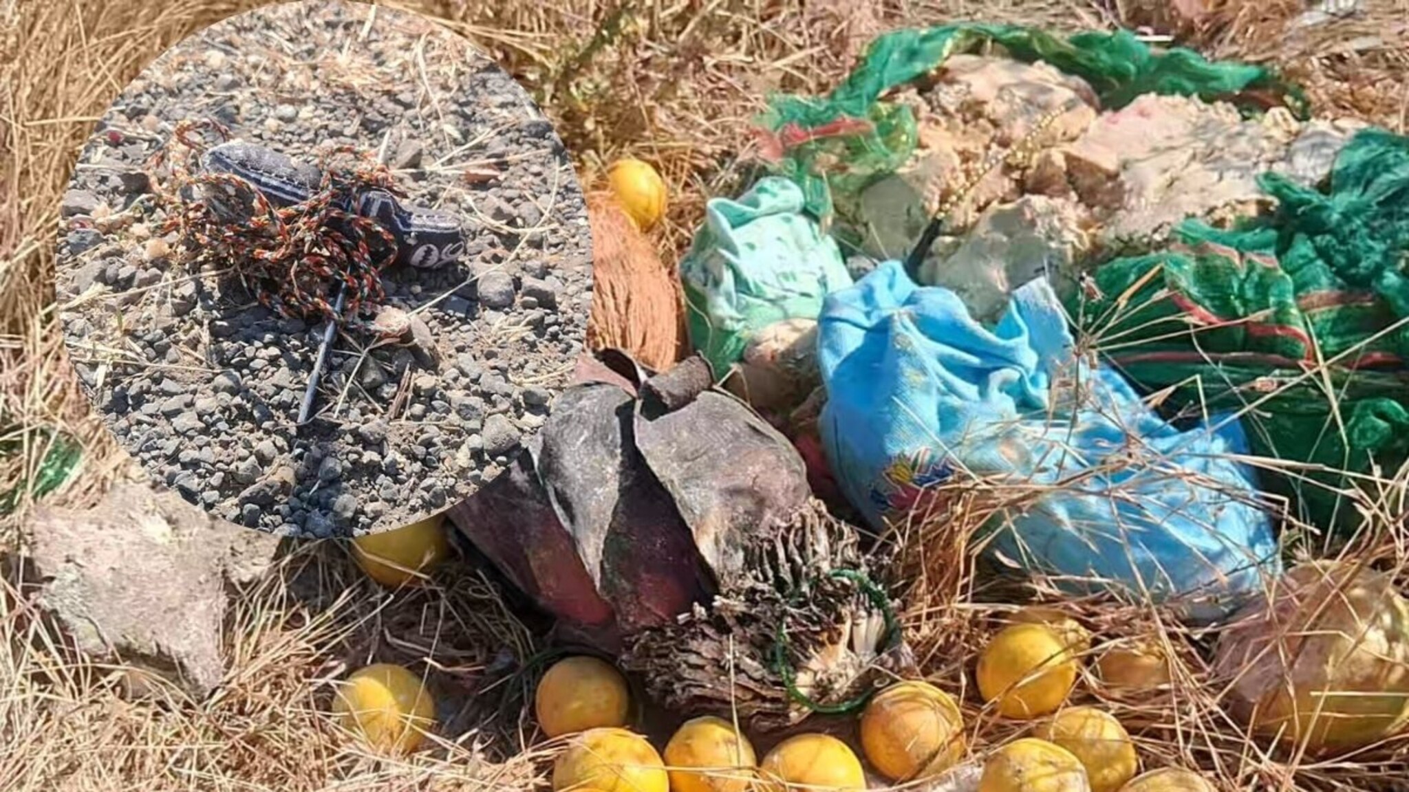 धाराशिवमध्ये भानामतीच्या प्रकाराने खळबळ, गावाच्या वेशीवर सापडले कुकांचे लिंबू, खिळे ठोकलेल्या बाहुल्या