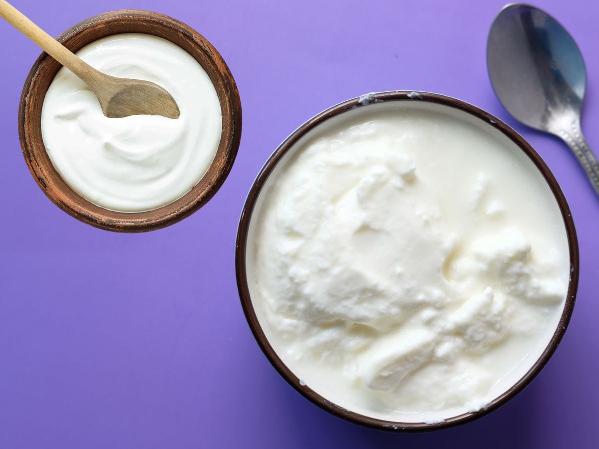 Difference between Curd and Yogurt दही आणि योगर्टमधला ‘हा’ फरक माहिती आहे का
