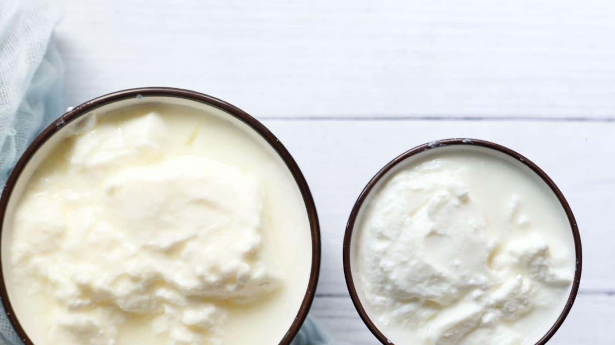 Difference between Curd and Yogurt: आरोग्यासाठी चांगलं काय, दही की योगर्ट? दोघांमध्ये नेमका फरक काय ?