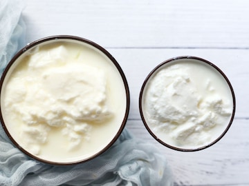 प्रतिकात्मक फोटो : दही आणि योगर्टमधला ‘हा’ फरक माहिती आहे का ? प्रतिकात्मक फोटो : दही आणि योगर्टमधला ‘हा’ फरक माहिती आहे का ?