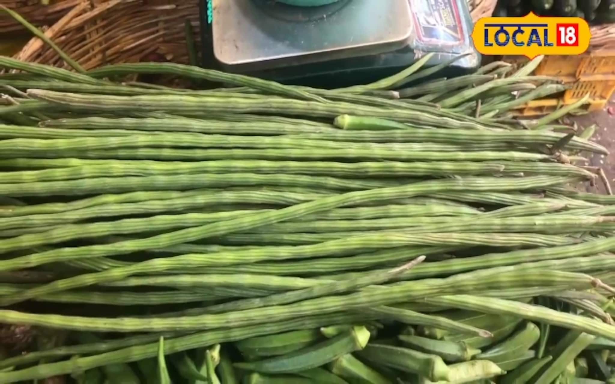 नॉनव्हेज जेवणापेक्षाही महागला शेवगा, 400 रुपये प्रति किलो मिळतोय दर