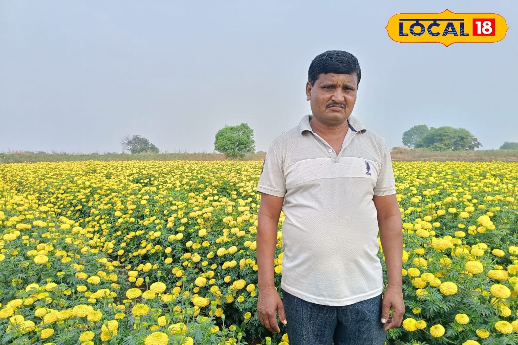 दहा गुंठ्यातून लाखोंचा नफा, झेंडू उत्पादक शेतकऱ्याची प्रेरणादायी कहाणी