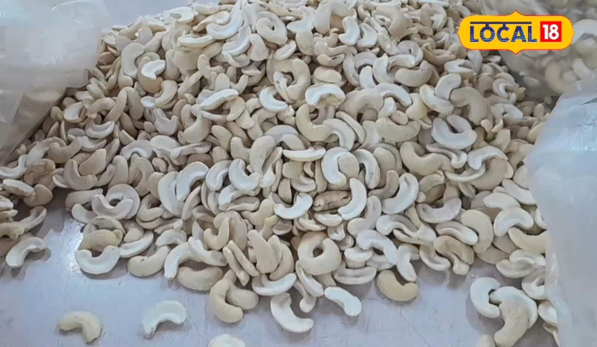 कोकणी काजूच्या नावावर तुम्ही भलतंच काही खातं तर नाही ना? असा ओळखा अस्सल काजूगर!