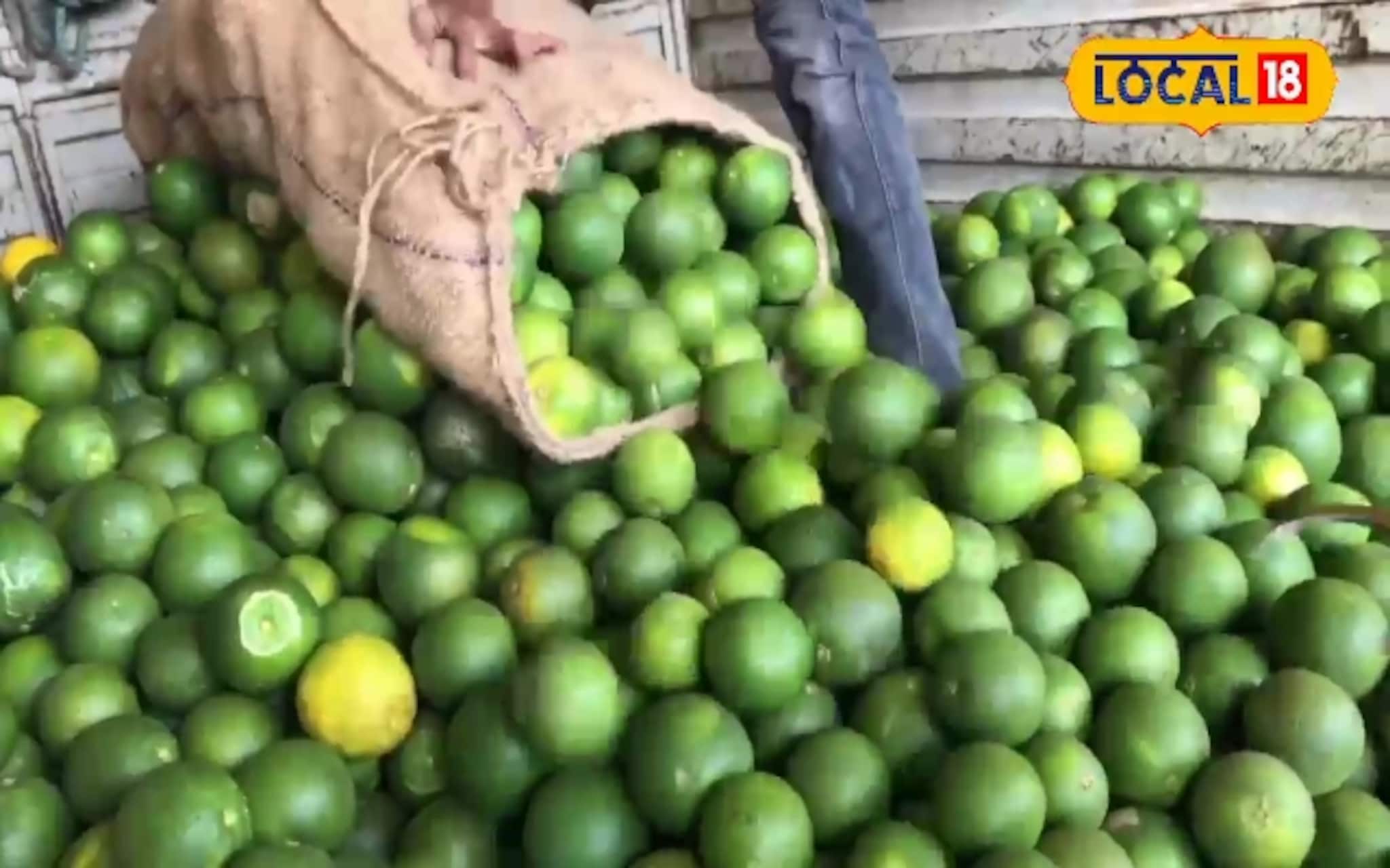 थंडीमुळे मोसंबीचे दर गडगडले, 35 हजारांवरून भाव आले 8 हजार रुपये प्रति टनावर