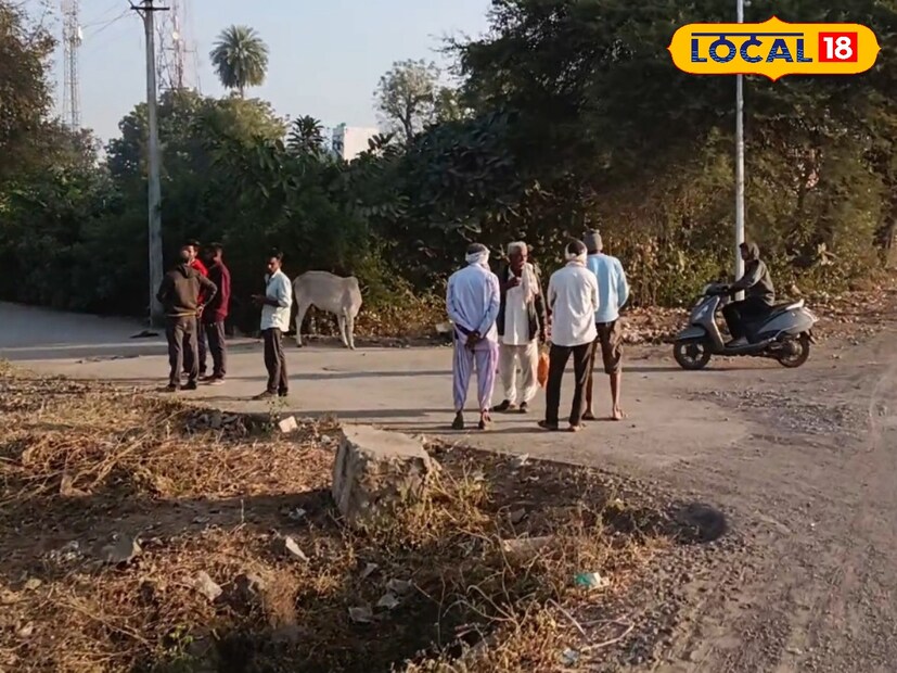 मराठवाड्याताली हवामानात पुन्हा मोठे बदल जाणवत असून थंडीची लाट काही प्रमाणात ओसरली आहे. परंतु, गारठा कायम असून किमान तापमान 12 अंशांवर असणार आहे.