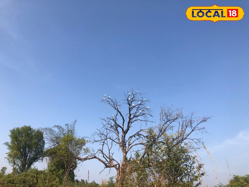 डिसेंबर महिन्यात राज्यातील हवामानात सातत्याने बदल होत आहेत. गेल्या काही दिवसांत मराठवाड्यातील थंडीची लाट ओसरली असून किमान तापमानात वाढ झालीये. मराठवाड्यातील हवामानाच्या आजच्या स्थितीबाबत जाणून घेऊ. डिसेंबर महिन्यात राज्यातील हवामानात सातत्याने बदल होत आहेत. गेल्या काही दिवसांत मराठवाड्यातील थंडीची लाट ओसरली असून किमान तापमानात वाढ झालीये. मराठवाड्यातील हवामानाच्या आजच्या स्थितीबाबत जाणून घेऊ.