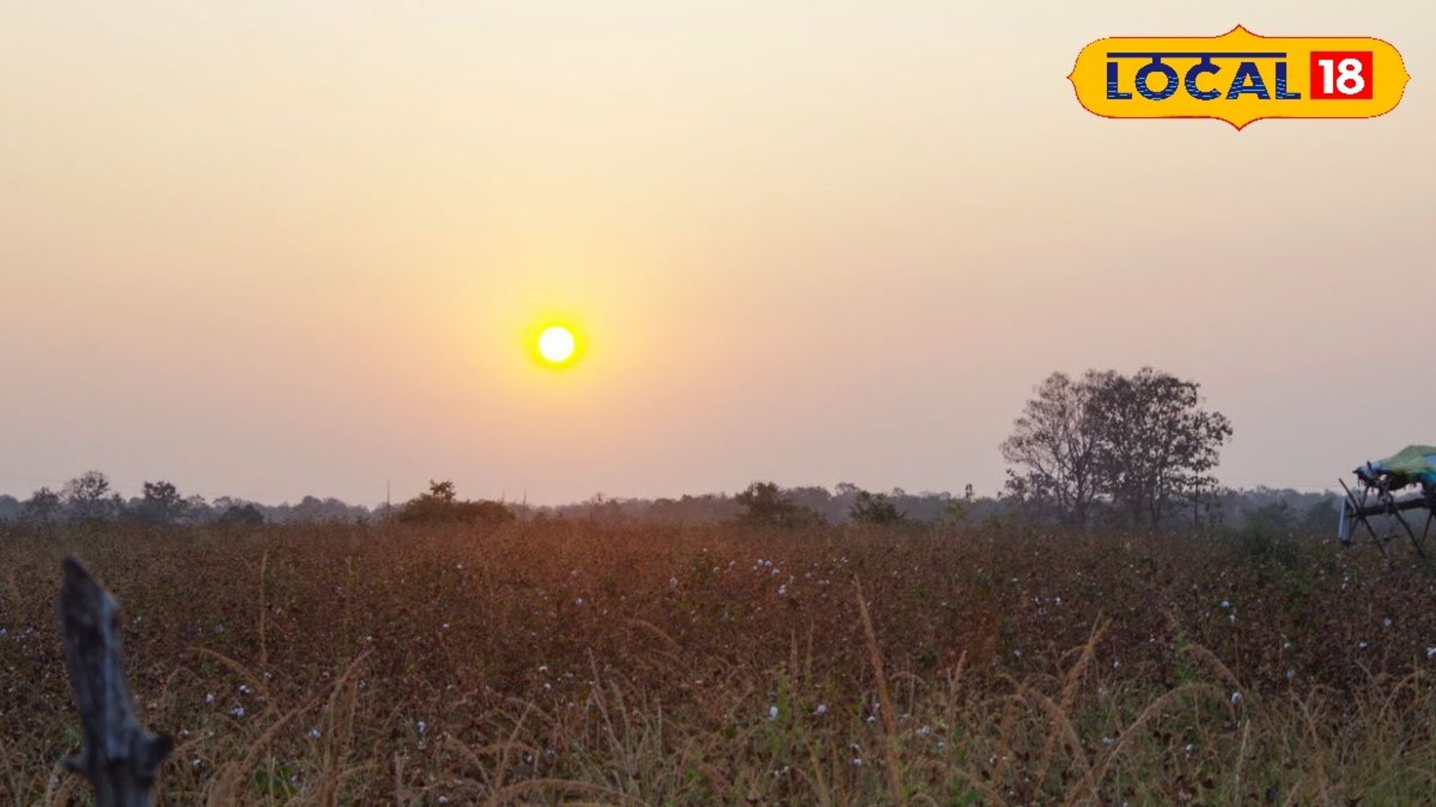 मराठवाड्यात हुडहुडी, 2 जिल्ह्यांत तापमान 8 अंश सेल्सिअस, हवामान विभागाने दिला अलर्ट