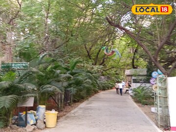 विदर्भातून पाऊस गायब; आता पुन्हा थंडीचा जोर? हवामानाबाबत महत्त्वाचं अपडेट विदर्भातून पाऊस गायब; आता पुन्हा थंडीचा जोर? हवामानाबाबत महत्त्वाचं अपडेट