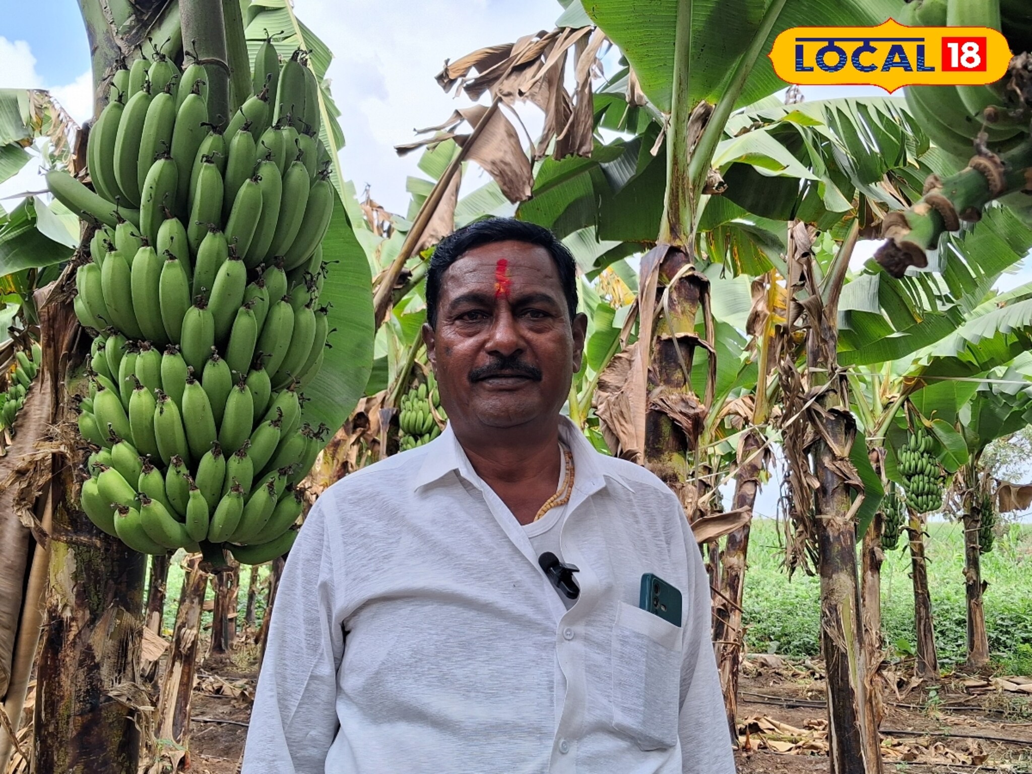 सांगलीचा चांगला शेतकरी, केळीमधून 11 महिन्यात कमावले 11 लाख रुपये! Video