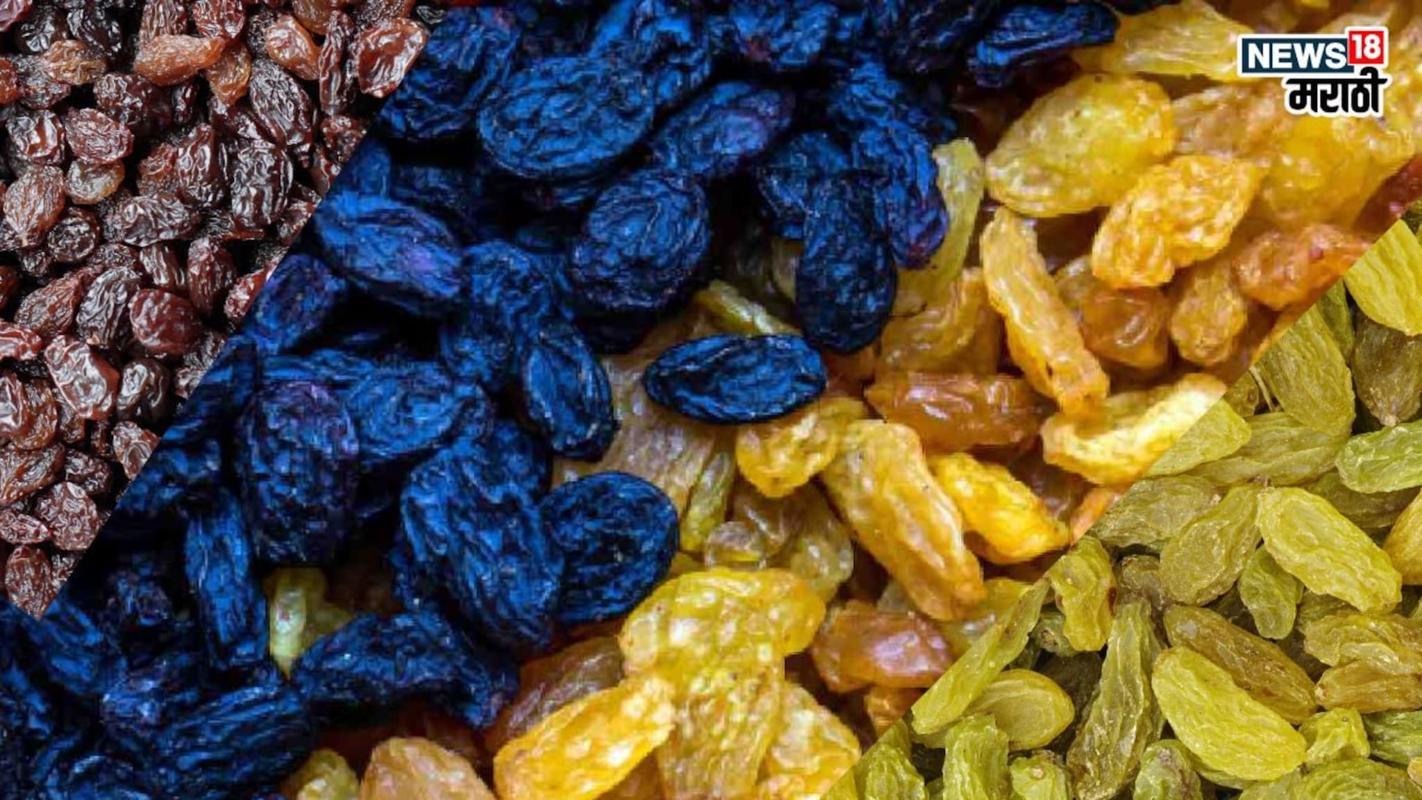 Raisin Health Benefits: काळा, पिवळा, हिरवा की लाल? आरोग्यासाठी कोणता मनुका फायदेशीर