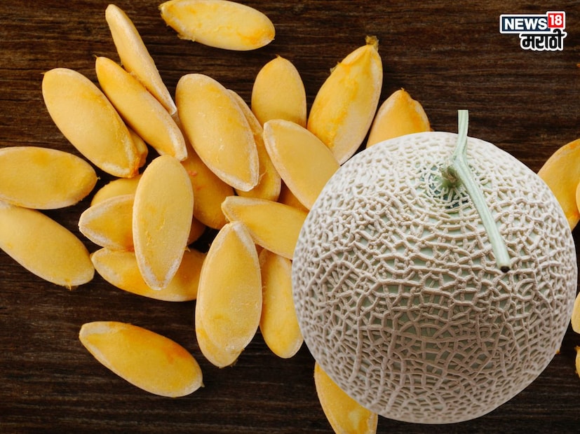 खरबूजाच्या बिया (Muskmelon seeds): खरबूजाच्या बियांमध्ये भरपूर प्रमाणात पोटॅशियम आढळून येतं जे रक्तदाब नियंत्रणात ठेवायला मदत करतं.तरुण वयात हृदयविकाराच्या वाढत्या तक्रारींवर खरबूज बियांसहीत खाणं फायद्याचं ठरतं. या बिया खरबूजासोबत, त्या सुकवून आणि भाजून किंवा सूर आणि भाज्यांमध्ये टाकून खाता येतात. 