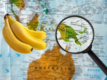 Is banana beneficial in Winter?: हिवाळ्यात केळं खावं की नाही;तज्ज्ञ काय म्हणतात?