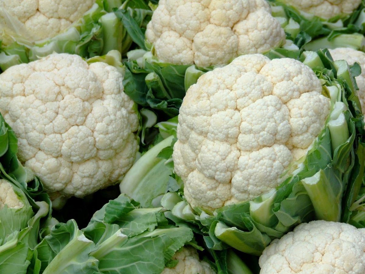 Kitchen Tips: ‘या’ ट्रिक्स वापरून साफ करा फ्लॉवर, किडे आपोआप येतील बाहेर