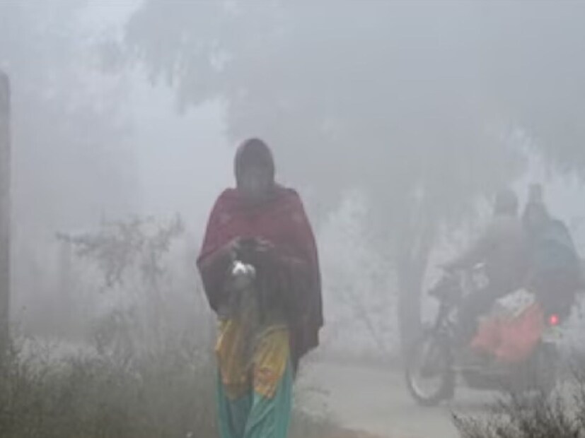 विदर्भातील भंडारा जिल्ह्यात सर्वात कमी तापमान नोंदवलं गेलंय. आज भंडाऱ्यातील किमान तापमान 9 अंशावर कायम आहे. तसेच विदर्भातील इतर जिल्ह्यांत देखील किमान तापमानात घट झाल्याने गारवा खूप जास्त जाणवत आहे. 