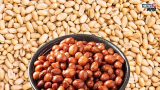 प्रतिकात्मक फोटो : 
 शेंगदाणे आवडीने खाता ना, ‘हे’ फरक माहिती आहेत का ?