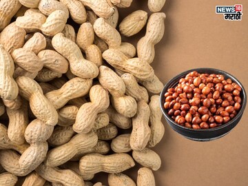 प्रतिकात्मक फोटो : शेंगदाणे खाताय, मग ‘ही’ चूक करू नका होतील वाईट परिणाम