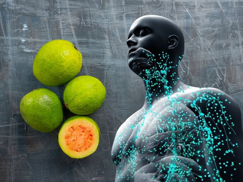 लाल पेरूत व्हिटॅमिन सी भरपूर प्रमाणात असतं ज्यामुळे मुक्त रॅडिकल्सपासून शरीराचा बचाव होऊन रोगप्रतिकारक शक्ती वाढायला मदत होते.