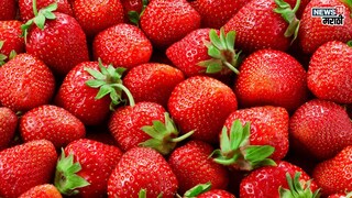 प्रतिकात्मक फोटो : स्ट्रॉबेरीजे फायदे माहिती आहेत का ? अनेक आजारांना पळवून लावेल ‘हे’ इटुकलं फळ