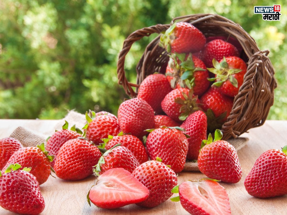 Strawberry health benefits: स्ट्रॉबेरीजे फायदे माहिती आहेत का ? अनेक आजारांना पळवून लावेल ‘हे’ इटुकलं फळ