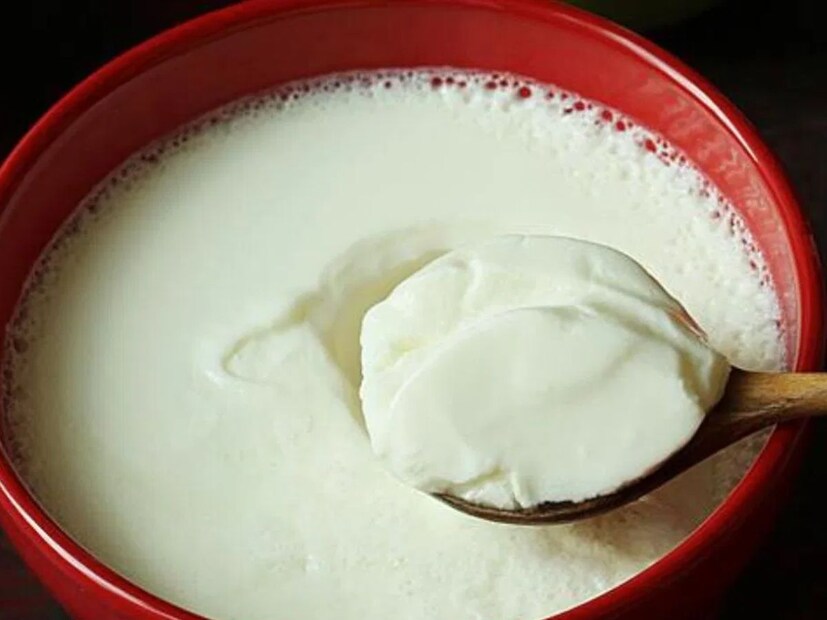 दही तयार करण्याचा आणखी एक सोपा मार्ग म्हणजे दूध दही-सेटिंग कंटेनरमध्ये ओतून ठेवा. यात थोडं कोमट पाणी टाका जेणेकरून पाण्याची उष्णता दुधाला मिळून दही लवकर जमायला मदत होईल 