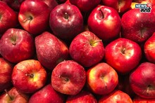 Wax on apple: सावधान! सफरचंद खाताय ? मग ‘घ्या’ ही काळजी, अन्यथा होईल नुकसान