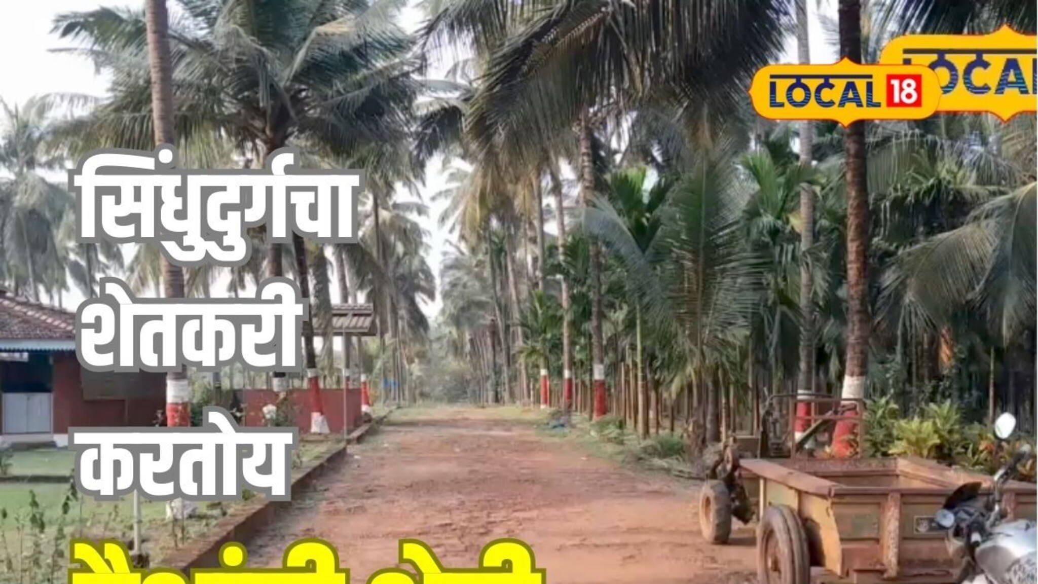 मातीशी नाळ म्हणून विकत घेतली शेती, मित्राच्या सल्ल्यानं वर्षाला 60 लाखांची कमाई