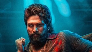 अल्लू अर्जुनला आजची रात्र तुरुंगात काढावी लागेल का? अल्लू अर्जुनला आजची रात्र तुरुंगात काढावी लागेल का?