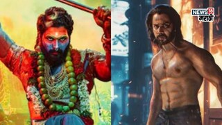 बेबी जॉन बॉक्स ऑफिस कलेक्शन बेबी जॉन बॉक्स ऑफिस कलेक्शन