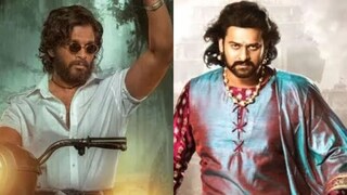 30 कोटींचं बजेट 100 कोटींची कमाई