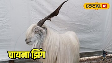 सोलापुरात