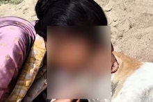 अरे हिला आवरा! तरुणीने कुत्र्यासोबत नको तेच केलं; घृणास्पद कृत्याचा VIDEO VIRAL