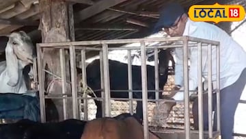 पारंपरिक