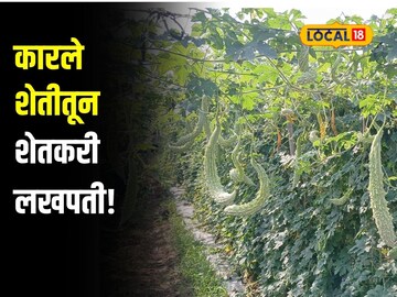 News18