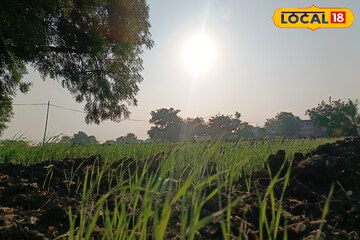 मराठवाड्यात अवकाळी संकट कायम, इथं बरसणार पाऊस, तुमच्या जिल्ह्यात काय स्थिती?