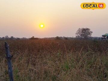 मराठवाडा गारठला! संभाजीनगरमध्ये 11 अंश सेल्सिअस तापमान, हवामान विभागाचा अलर्ट