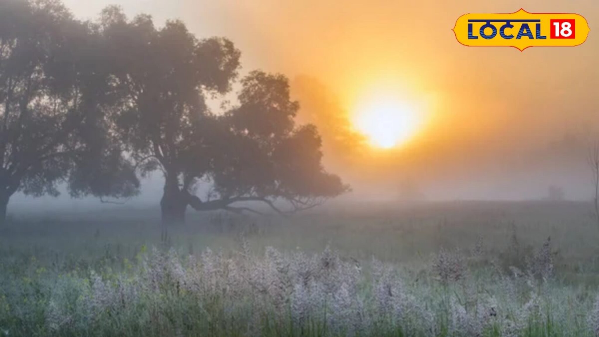 मराठवाड्यात थंडीची लाट, छत्रपती संभाजीनगरमध्ये पारा 10 अंश सेल्सिअस, हवामान विभागाचा अलर्ट