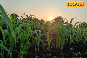 मराठवाड्यावर संकट, आज गारपिटीचा इशारा, तुमच्या जिल्ह्यात काय स्थिती?