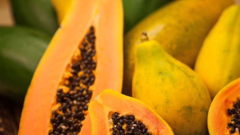 पपई हे एक फळ आहे जे भारतात मोठ्या प्रमाणावर खाल्लं जातें आणि अनेकांचं ते आवडीचं फळ देखील आहे. आरोग्य तज्ञ देखील ते नियमितपणे खाण्याचा सल्ला देतात, परंतु ते जास्त प्रमाणात खाल्ल्याने शरीराला फायदा होण्यापेक्षा त्याचे नुकसान जास्त होऊ शकतो. तसेच विशिष्ट प्रकारचे रोग किंवा ॲलर्जी असलेल्या लोकांनी या फळापासून दूर राहावे.